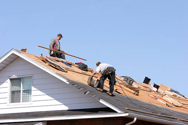 Best Chimney Flashing Repair  in Newport, OH