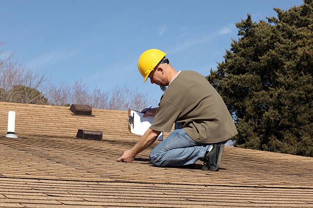 Best Asphalt Shingle Roofing  in Newport, OH